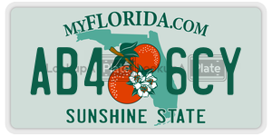 AB46CY license plate in Florida