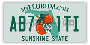 AB71TI license plate in Florida