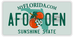 AF00EN  license plate in FL