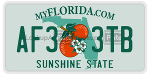 AF33TB license plate in Florida