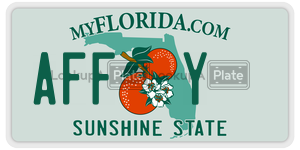 AFFY  license plate in FL