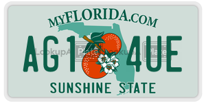 AG14UE license plate in Florida
