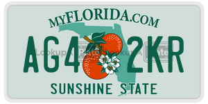 AG42KR license plate in Florida
