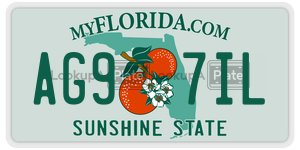 AG97IL  license plate in FL