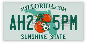 AH25PM  license plate in FL