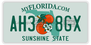 AH38GX  license plate in FL