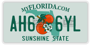 AH66YL  license plate in FL