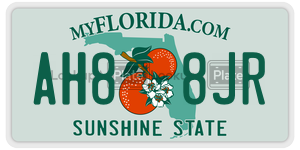 AH88JR  license plate in FL
