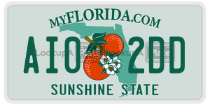 AI02DD license plate in Florida