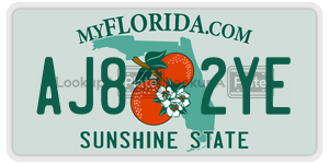 AJ82YE  license plate in FL