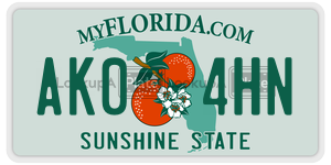 AK04HN  license plate in FL