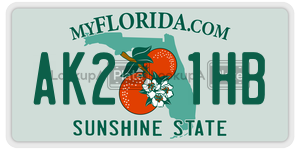 AK21HB license plate in Florida