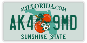 AK49MD  license plate in FL