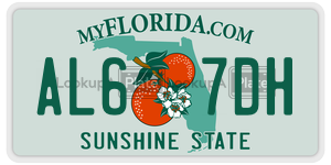 AL67DH  license plate in FL