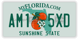 AM15XD  license plate in FL
