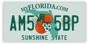 AM55BP license plate in Florida