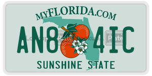 AN84IC  license plate in FL