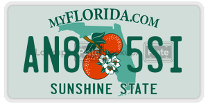 AN85SI  license plate in FL