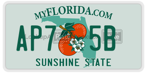 AP75B license plate in Florida