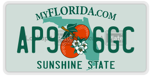 AP96GC license plate in Florida
