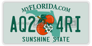 AQ24RI license plate in Florida