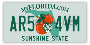 AR54VM  license plate in FL