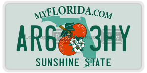 AR63HY  license plate in FL