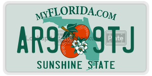 AR99TJ license plate in Florida