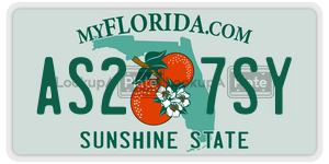 AS27SY  license plate in FL