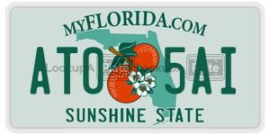 AT05AI  license plate in FL