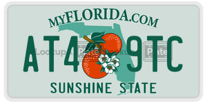 AT49TC  license plate in FL