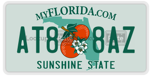 AT88AZ license plate in Florida