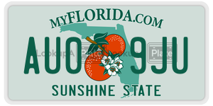 AU09JU license plate in Florida