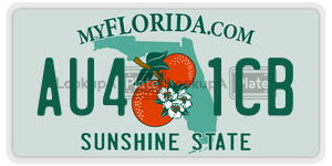 AU41CB license plate in Florida