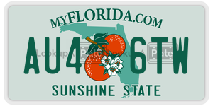 AU46TW license plate in Florida