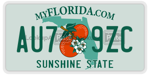 AU79ZC  license plate in FL