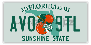 AV09TL license plate in Florida