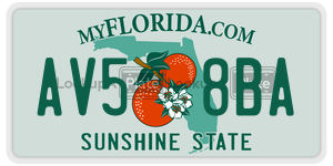 AV58BA  license plate in FL