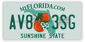 AV83SG license plate in Florida