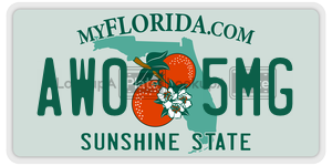 AW05MG license plate in Florida