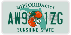 AW91ZG  license plate in FL