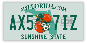 AX57IZ license plate in Florida