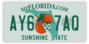 AY67AQ  license plate in FL