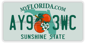 AY93WC  license plate in FL