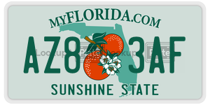 AZ83AF  license plate in FL