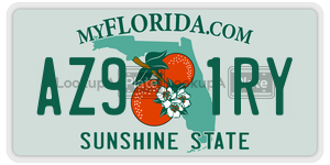 AZ91RY  license plate in FL
