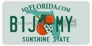B1JMY  license plate in FL