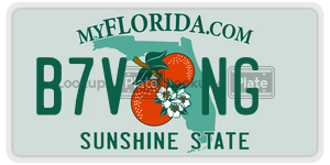 B7VNG  license plate in FL