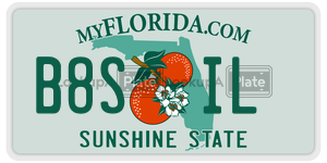 B8SIL license plate in Florida