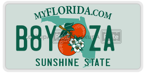 B8YZA  license plate in FL